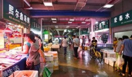 石家庄抓海鲜爆料视频,惊心动魄的海洋生物大搜捕