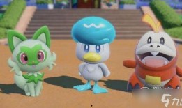 宝可梦珠子最新爆料视频,神秘力量觉醒，揭秘未知宝可梦之谜