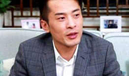 辛巴王海最新爆料,揭秘行业黑幕，揭开真相面纱！